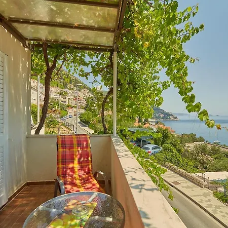 Dalmatin Dubrovnik